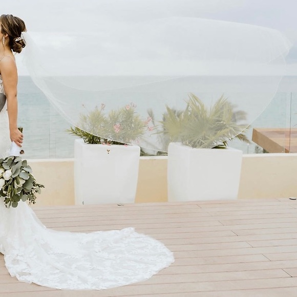 Beaded Cathedral Length Veil + Garment Bag - Picture 3 of 13